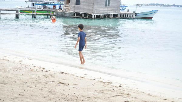 Dari Lepas Tukik Sampai BBQ di Pulau Pramuka