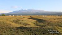 Desa di Sumbawa yang Pemandangannya Indah Sekali!