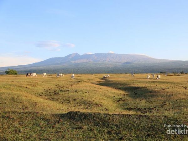 Desa di Sumbawa yang Pemandangannya Indah Sekali!