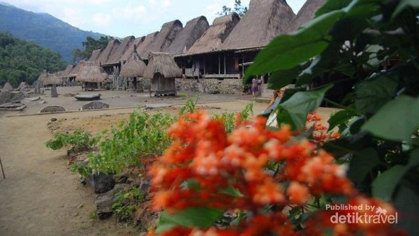 Desa Megalitikum di Flores yang Mendunia