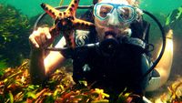 Diving Cemen di Tanjung Benoa