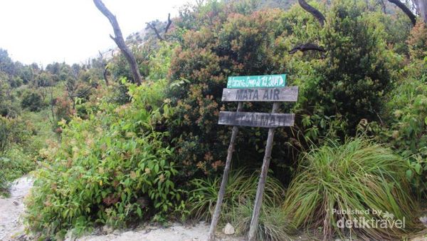 Eksotisme Hutan Mati di Garut