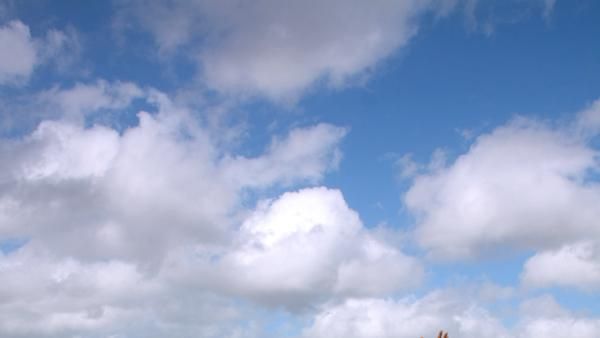 Ekspedisi Papua (Taman Nasional Wasur)