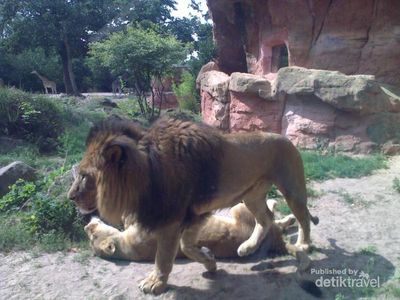 Erlebnis Zoo, Salah Satu Kebun Binatang Tertua di Jerman