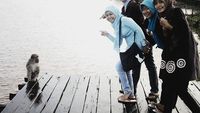 Exploring South Borneo