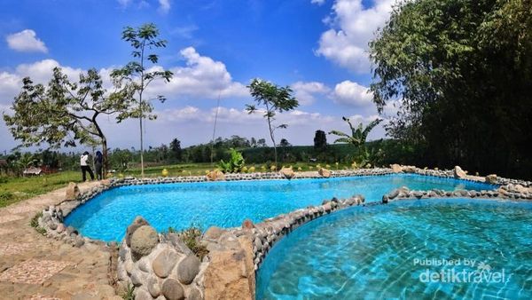 Foto: Bukan di Jepang, Ini Hutan Bambu Keren di Banyumas