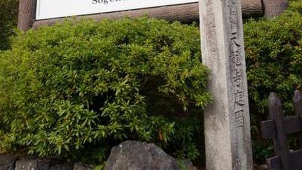 Foto: Cantiknya Kuil Tenryu-Ji di Musim Gugur