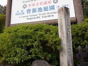Foto: Cantiknya Kuil Tenryu-Ji di Musim Gugur