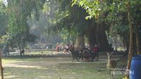 Foto: Ini Taman Cantik di Solo