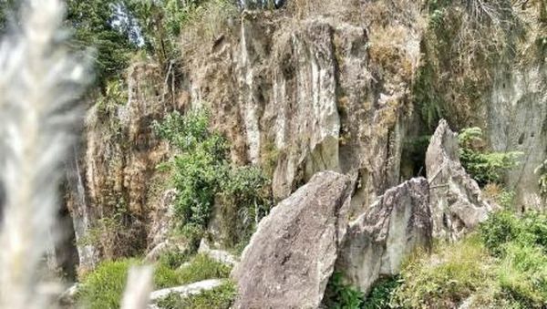 Foto: Kandang Godzilla di Tangerang