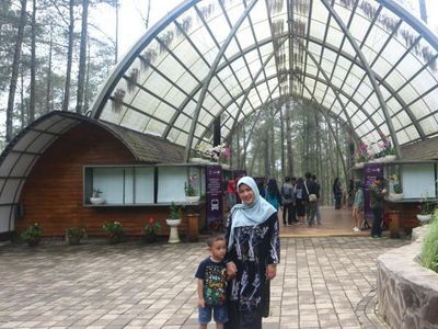 Foto: Kastil di Tengah Hutan Pinus Lembang