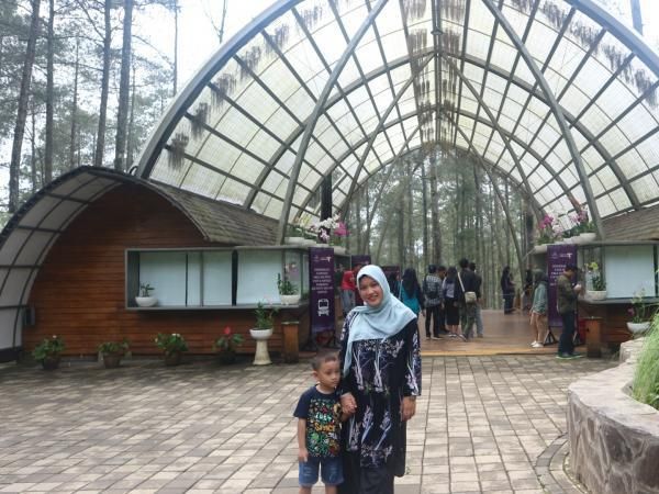 Foto: Kastil di Tengah Hutan Pinus Lembang