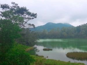 Foto: Keindahan Dieng, Negeri di Atas Awan