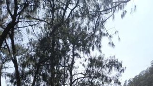 Foto: Mendaki Gunung Arjuno yang Katanya Angker