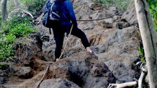 Foto: Menggapai Puncak Merbabu dan Prau