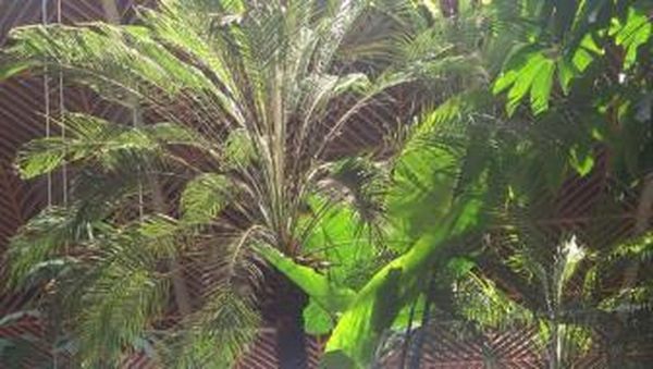 Foto: Menikmati Senja di Kafe Instagramable Bandung