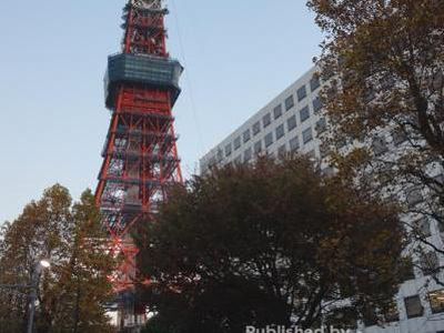 Foto: Pemandangan Keren dari Tokyo Tower