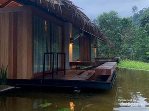 Foto: Penginapan Cantik Milik Nicholas Saputra di Tangkahan