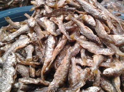 Foto Pesona Danau Singkarak