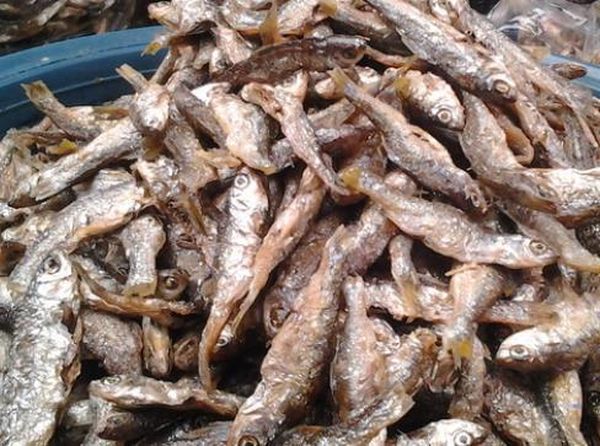 Foto Pesona Danau Singkarak