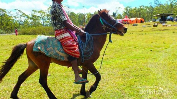 Foto Pesta Rakyat Dari Kabupaten Timor Tengah Selatan