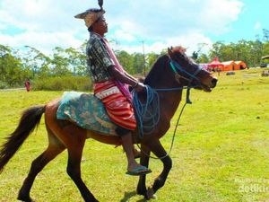Foto Pesta Rakyat Dari Kabupaten Timor Tengah Selatan