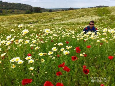 Foto: Si Cantik di Negaranya Cristiano Ronaldo