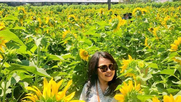 Foto: Taman Bunga Matahari yang Lagi Ngehits di Kupang