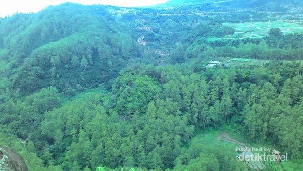 Foto: Tebing Keraton yang Menyegarkan Mata