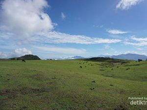 Fulan Fehan, Savana nan Magis di Tapal Batas
