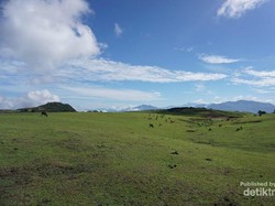 Fulan Fehan, Savana nan Magis di Tapal Batas