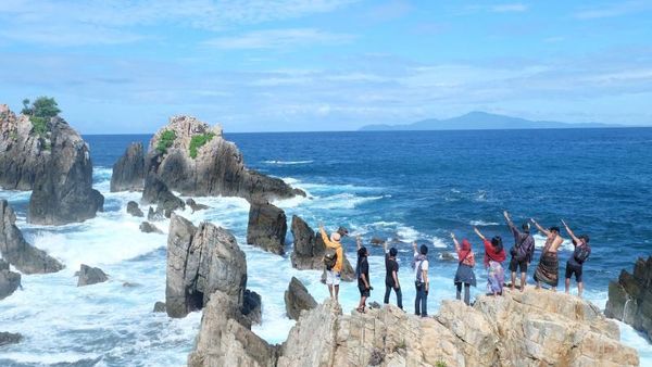 Gigi Hiu yang Cantik di Lampung