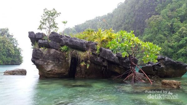 Gua Allo yang Tersembunyi di Kepulauan Sombori