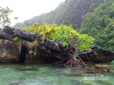 Gua Allo yang Tersembunyi di Kepulauan Sombori