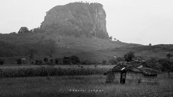Gunung Gajah di Pemalang, Treknya Ekstrem dan Menantang!