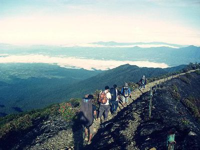 Gunung Gede, Gunungnya Para Pendaki Pemula