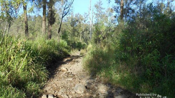 Gunung Welirang untuk Ditaklukan Traveler di Jawa Timur