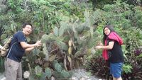 Hewan Awetan Aneh di Museum Zoologi Bogor