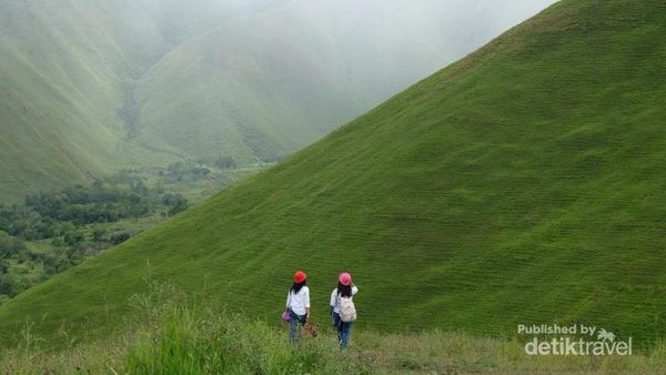 Holbung, Bukit yang Lagi Hits di Danau Toba
