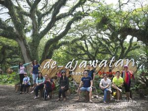 Hutan The Lord of The Rings Ada di Banyuwangi?