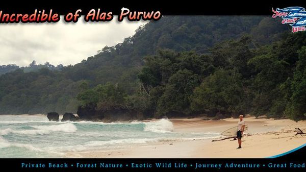 Incredible Alas purwo