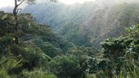 Indahnya Puncak Gunung Lombobattang, Sulsel