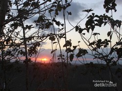 Indahnya Suasana Pagi di Panguk Kediwung