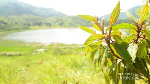 Ini Dia Ranu Kumbolo Rasa Dieng