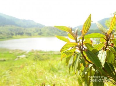 Ini Dia Ranu Kumbolo Rasa Dieng