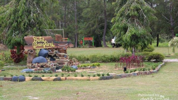 Ini Jembatan Kanopi yang Keren di Kalimantan