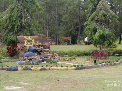 Ini Jembatan Kanopi yang Keren di Kalimantan