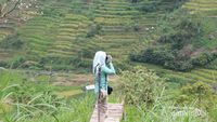 Ini Juga Ujung Kulon Tapi di Magetan