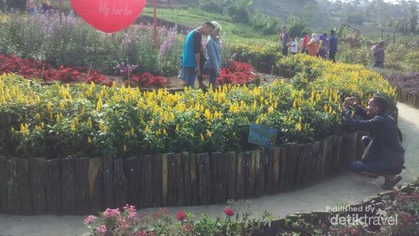 Ini Kebun yang Hits di Purbalingga