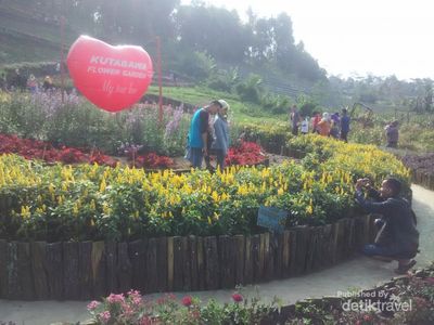 Ini Kebun yang Hits di Purbalingga